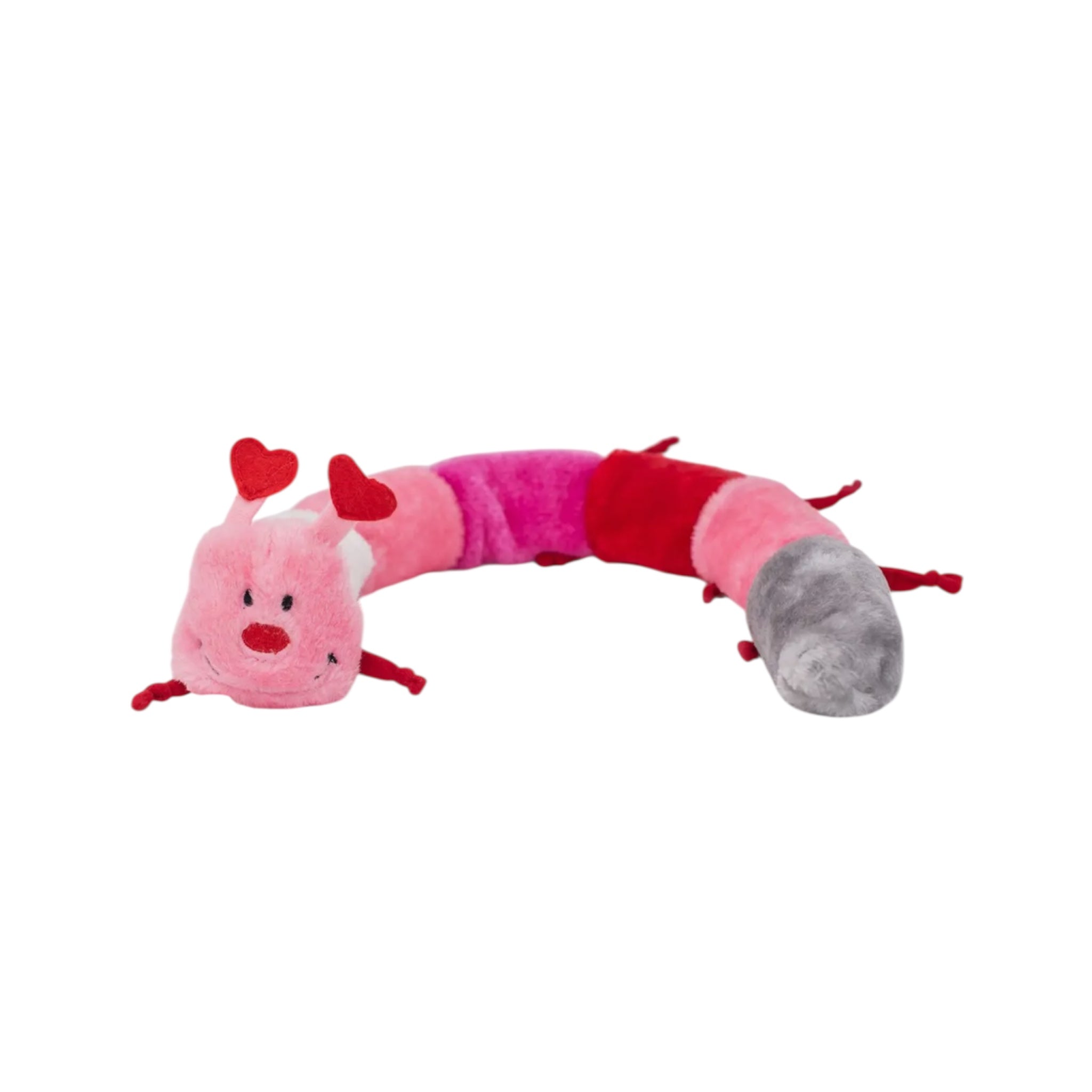 Valentijn's rups