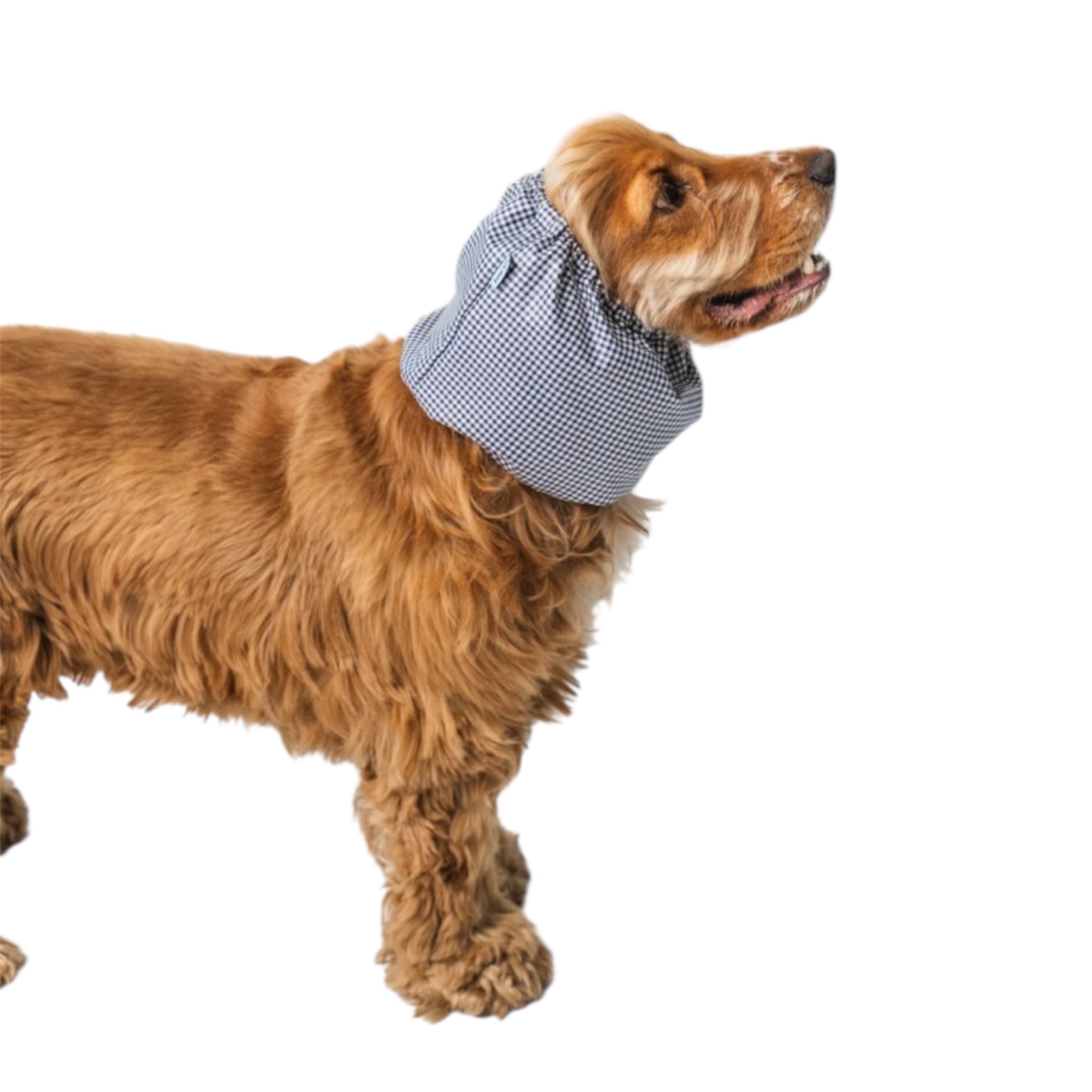 Waterproof dog snood checkered