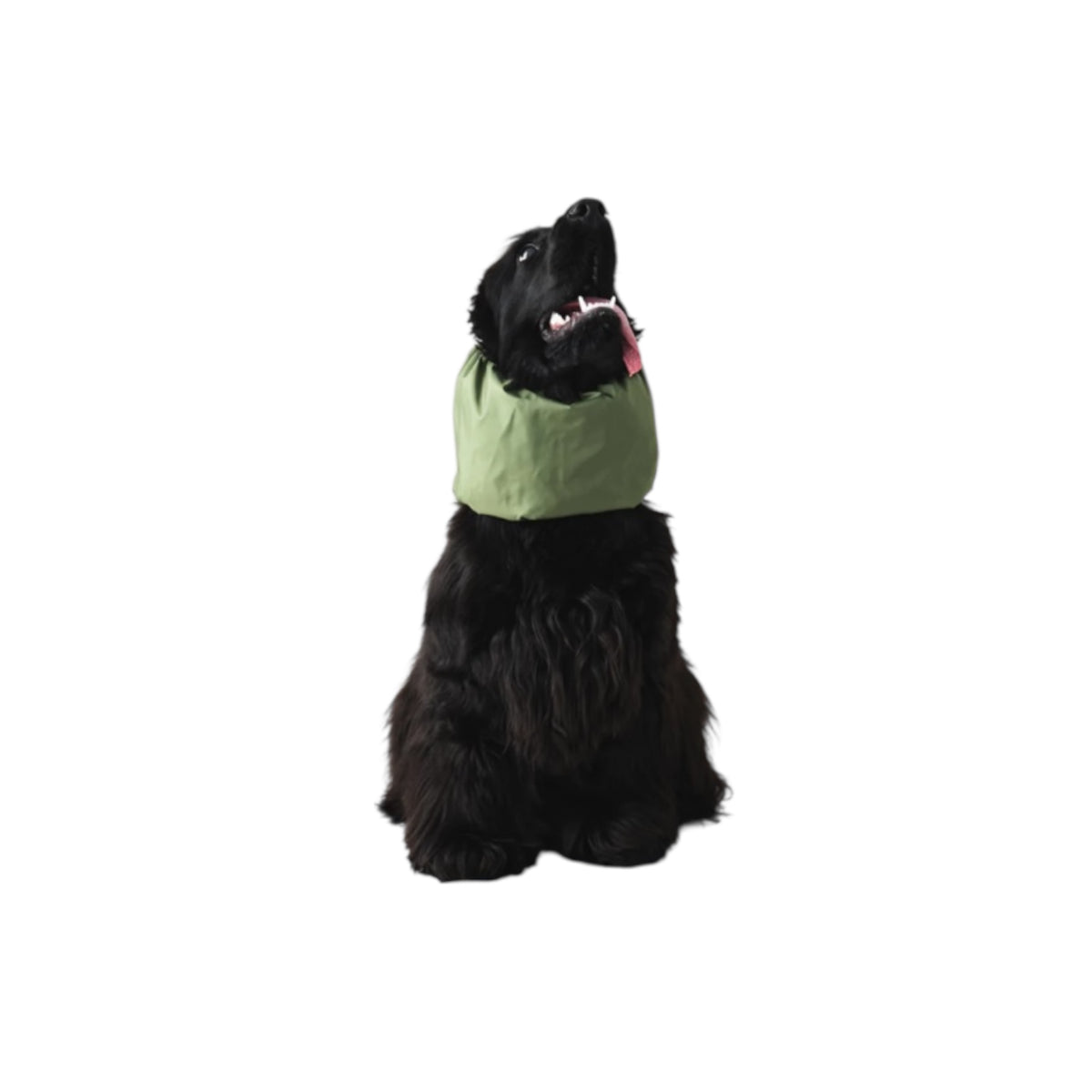 Waterproof dog snood green