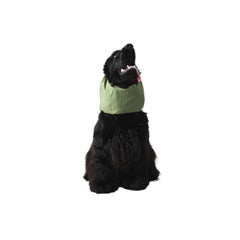 Waterproof dog snood green