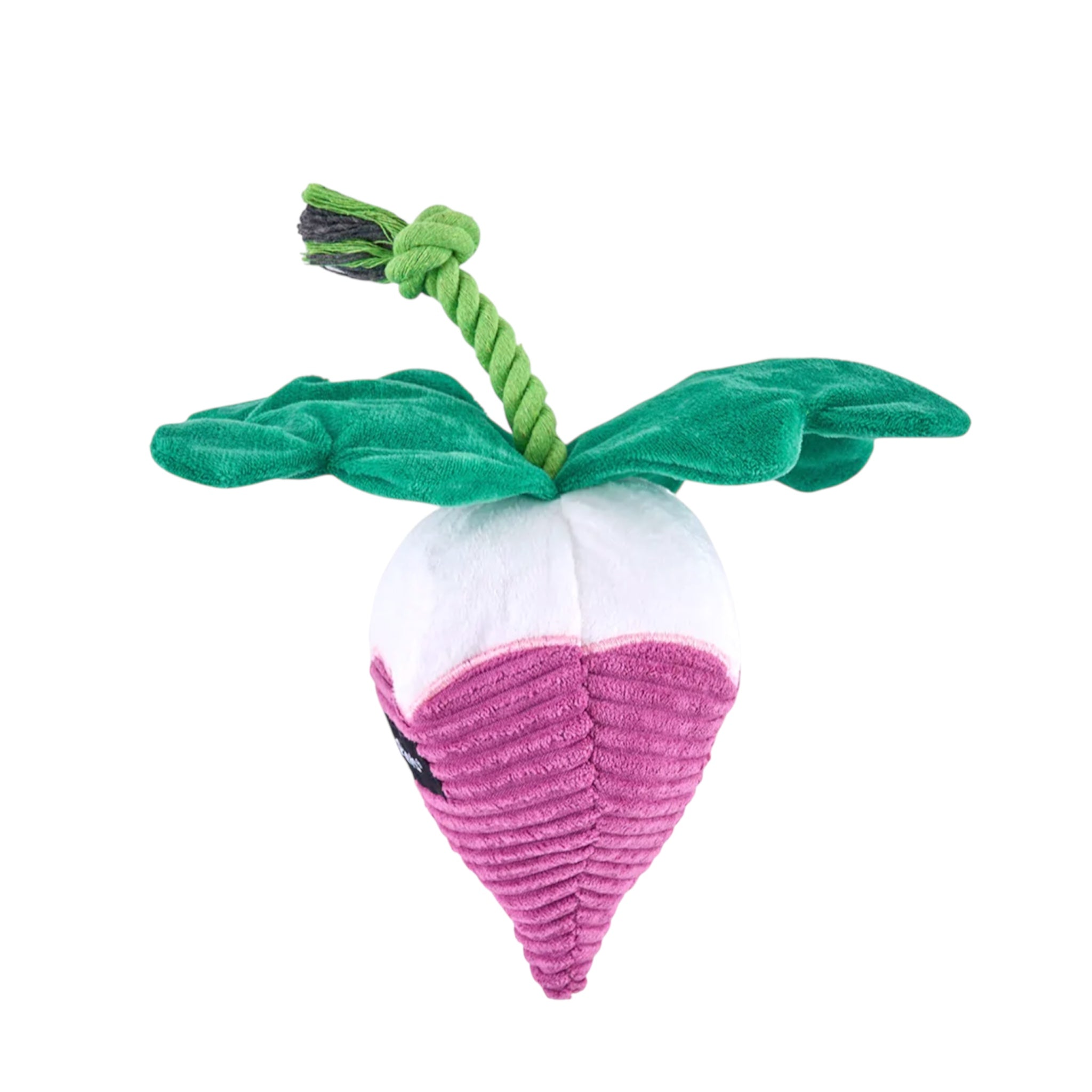 Radish