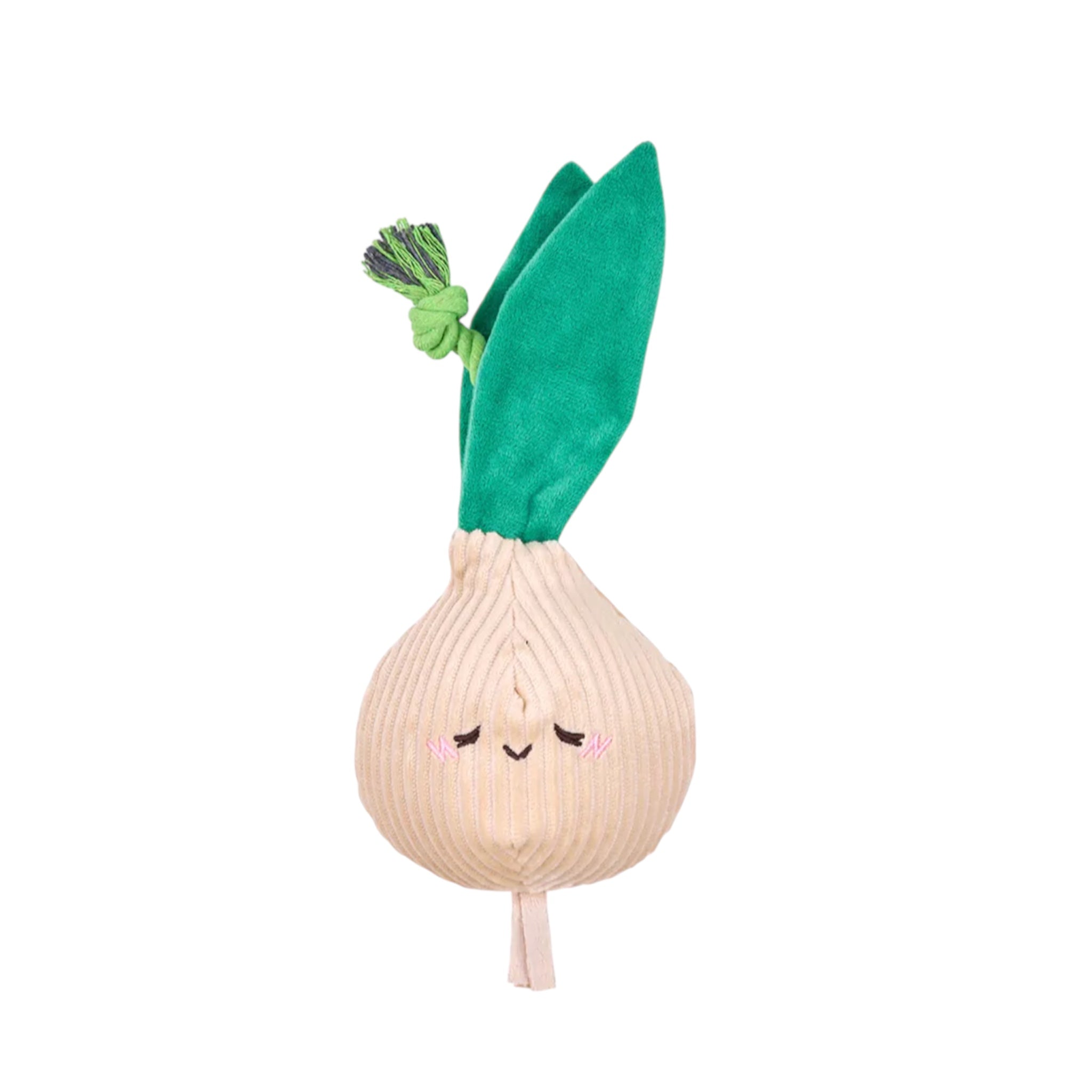 Onion