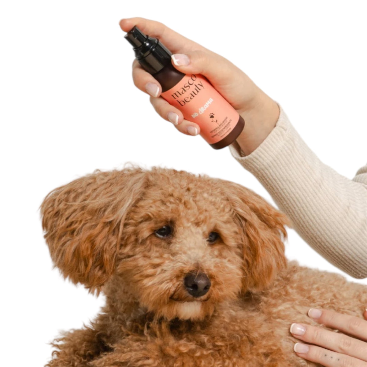 Detangling spray