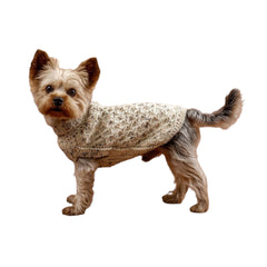 Speckles Ivory Alpaca Dog Sweater