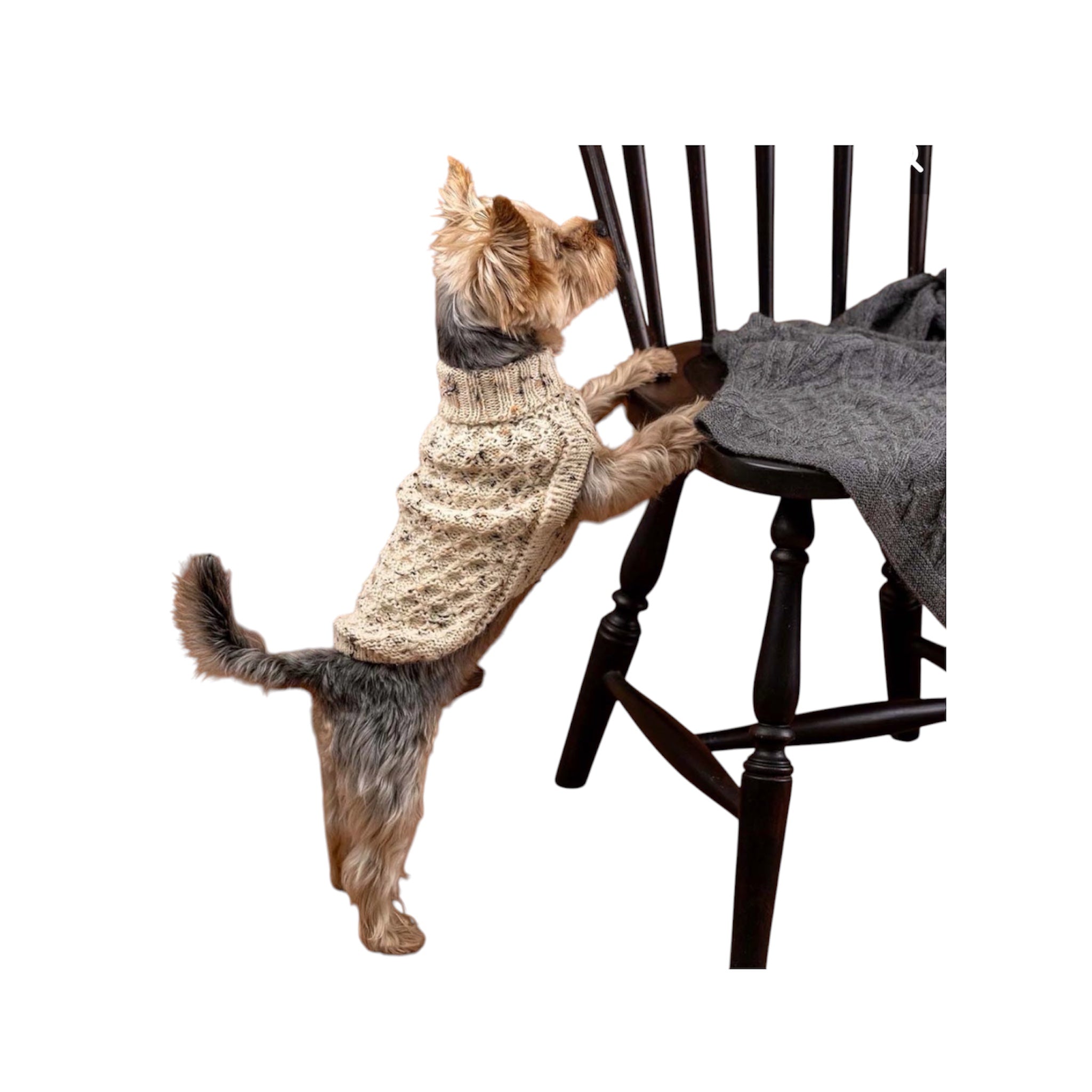 Speckles Ivory Alpaca Dog Sweater