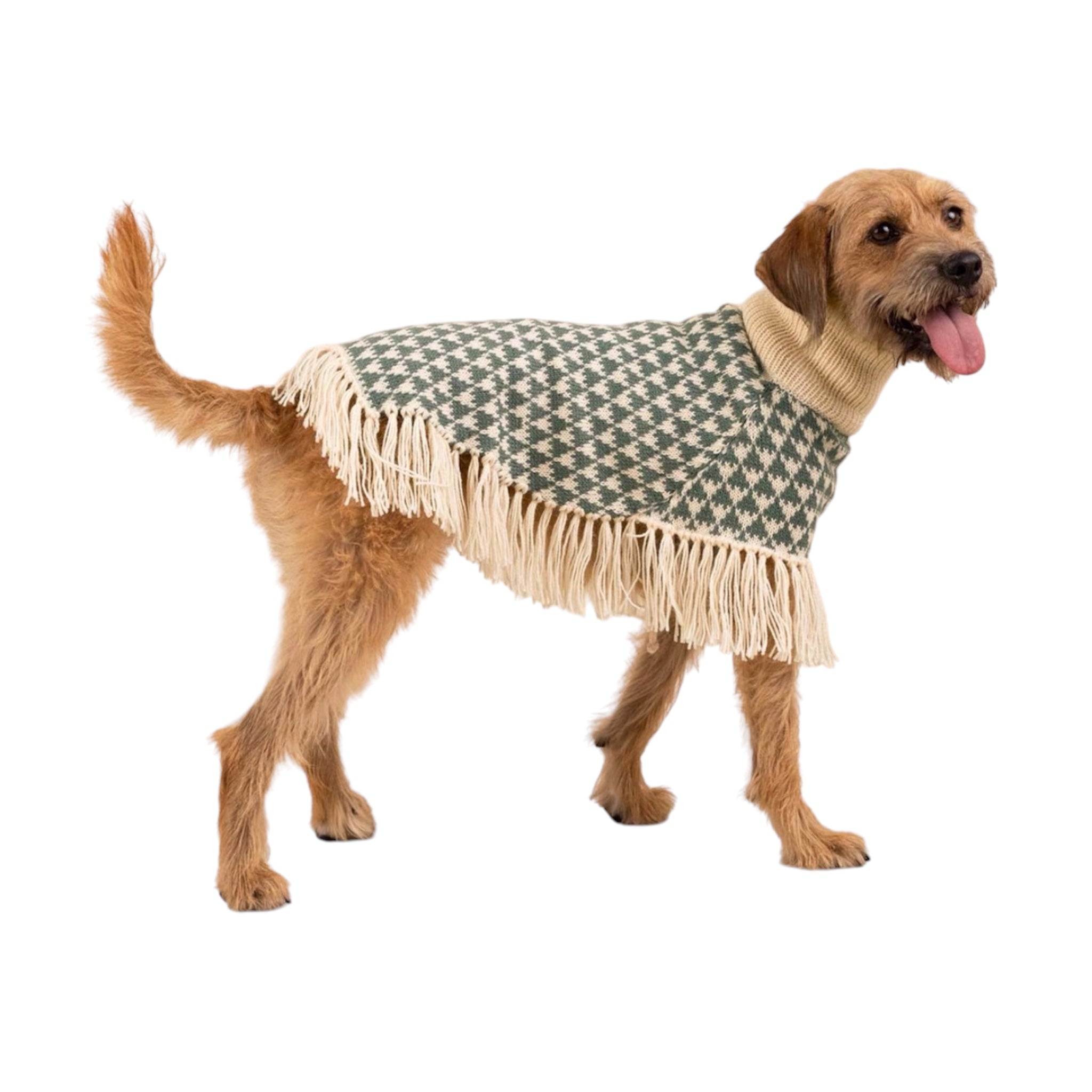 Triad Alpaca Dog Poncho Sage