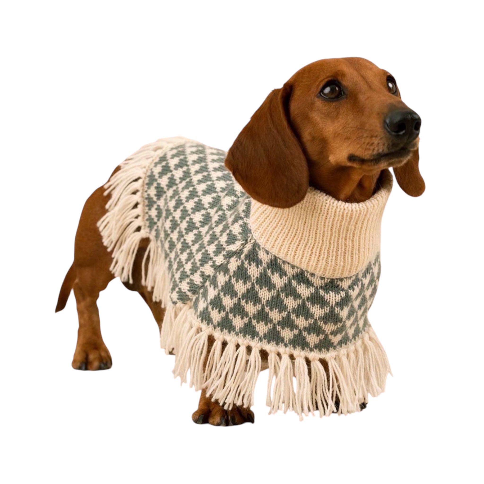 Triad Alpaca Dog Poncho Sage