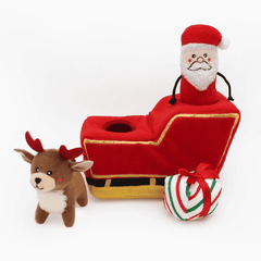 Santa's Sleigh