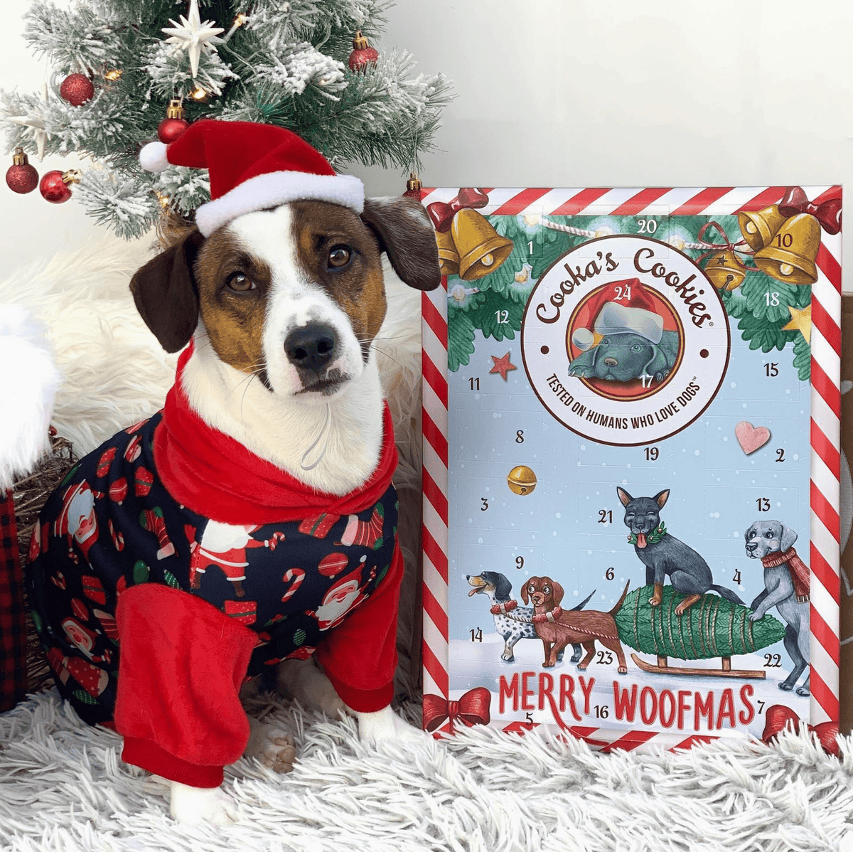 Merry Woofmas countdown calendar