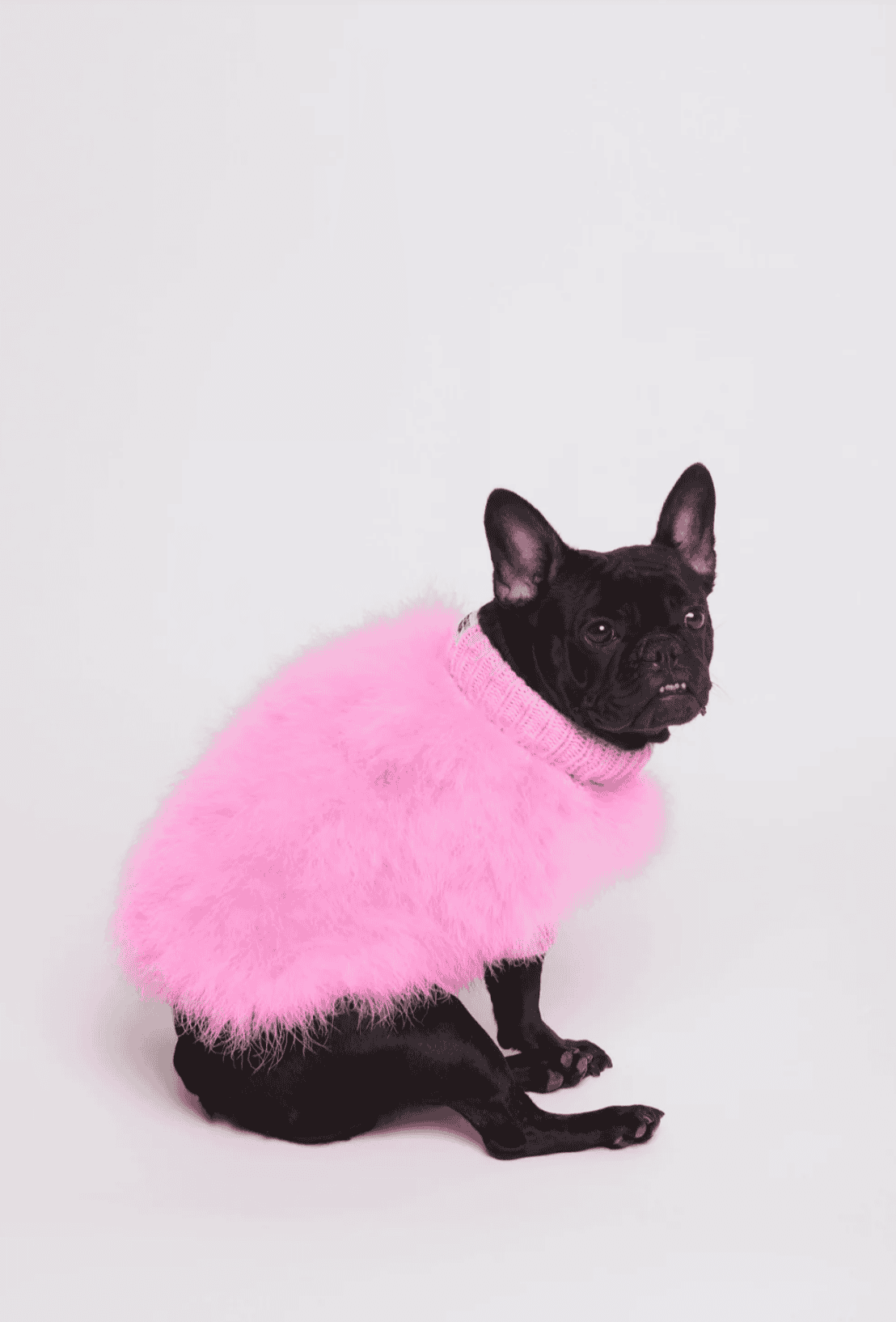 Jumper hot pink