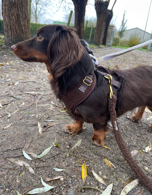 Harness Sherpa Coffee