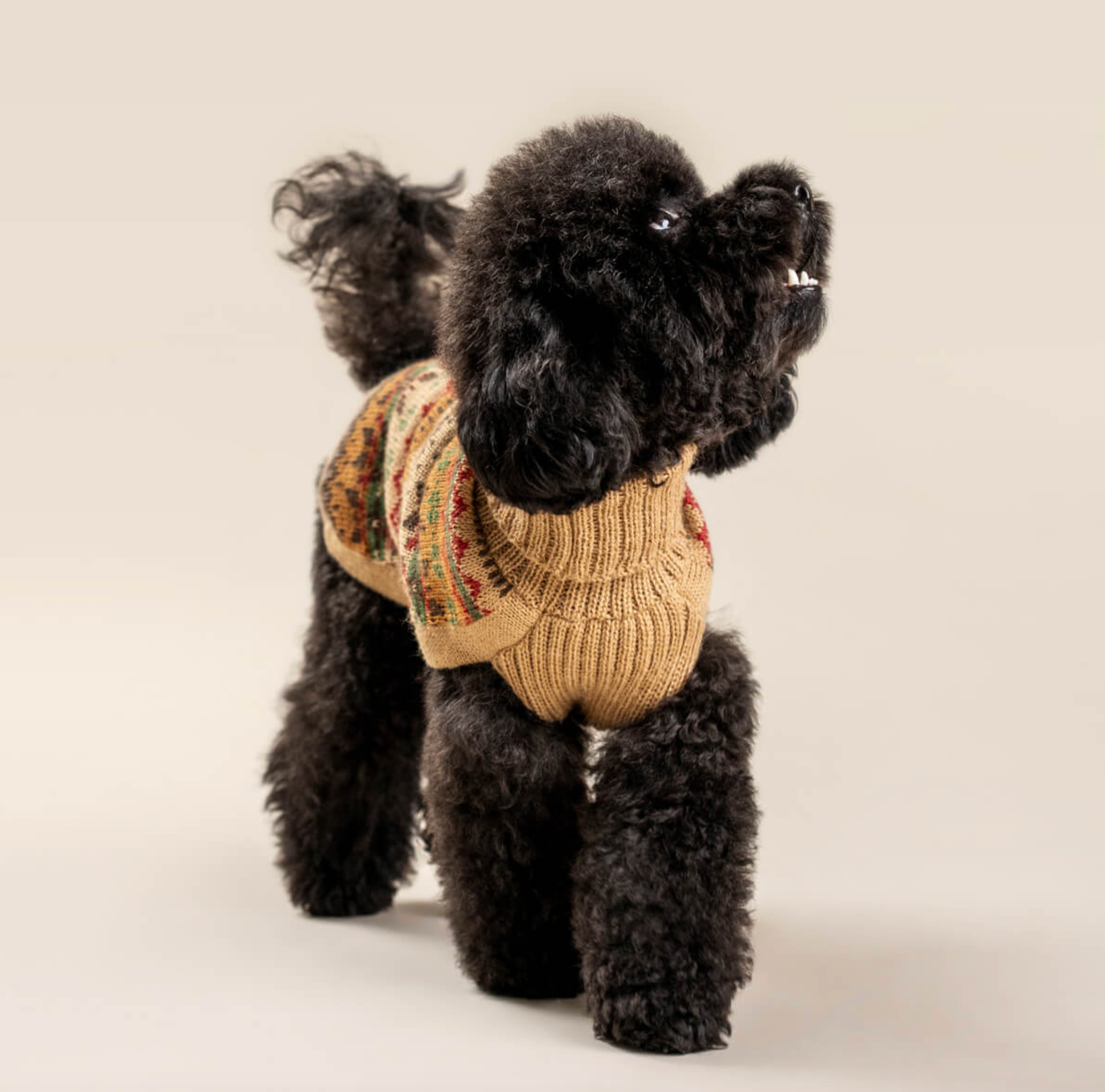 Fair Isle Finn Alpaca Dog Sweater