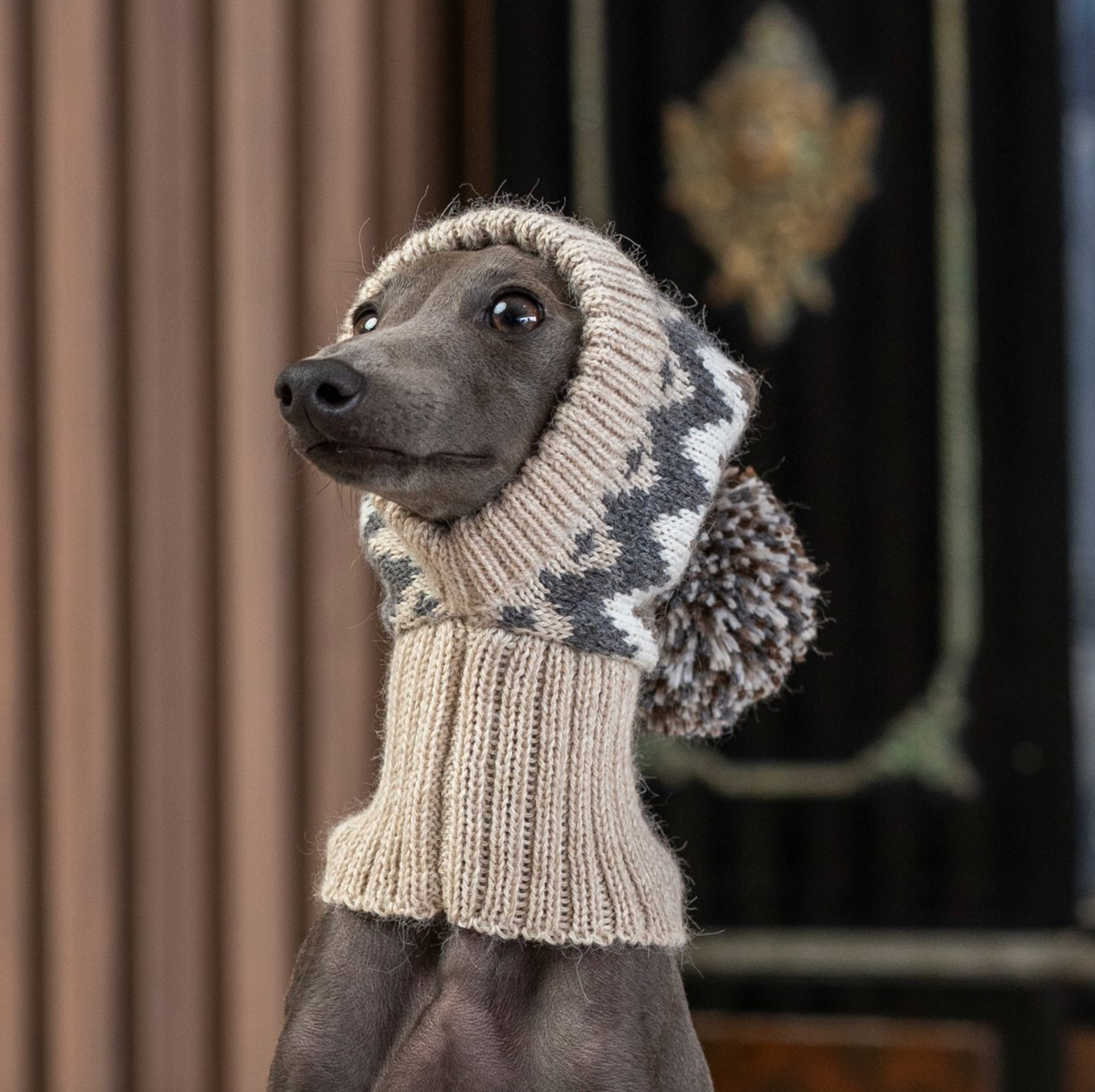 Woolly Winter Dog Hat