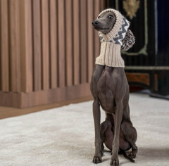 Woolly Winter Dog Hat