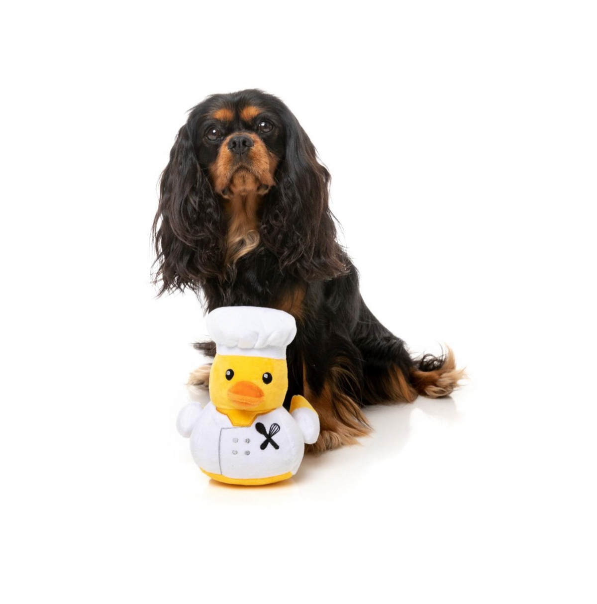 Gordon Quacksay