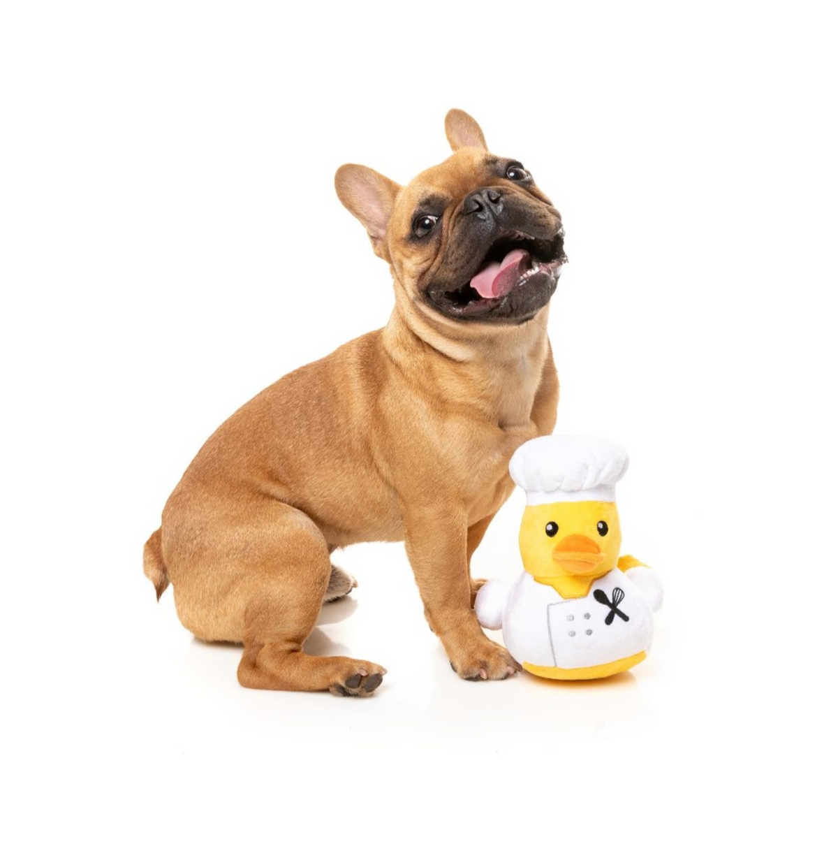 Gordon Quacksay