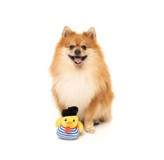 Timothée Chalaquack