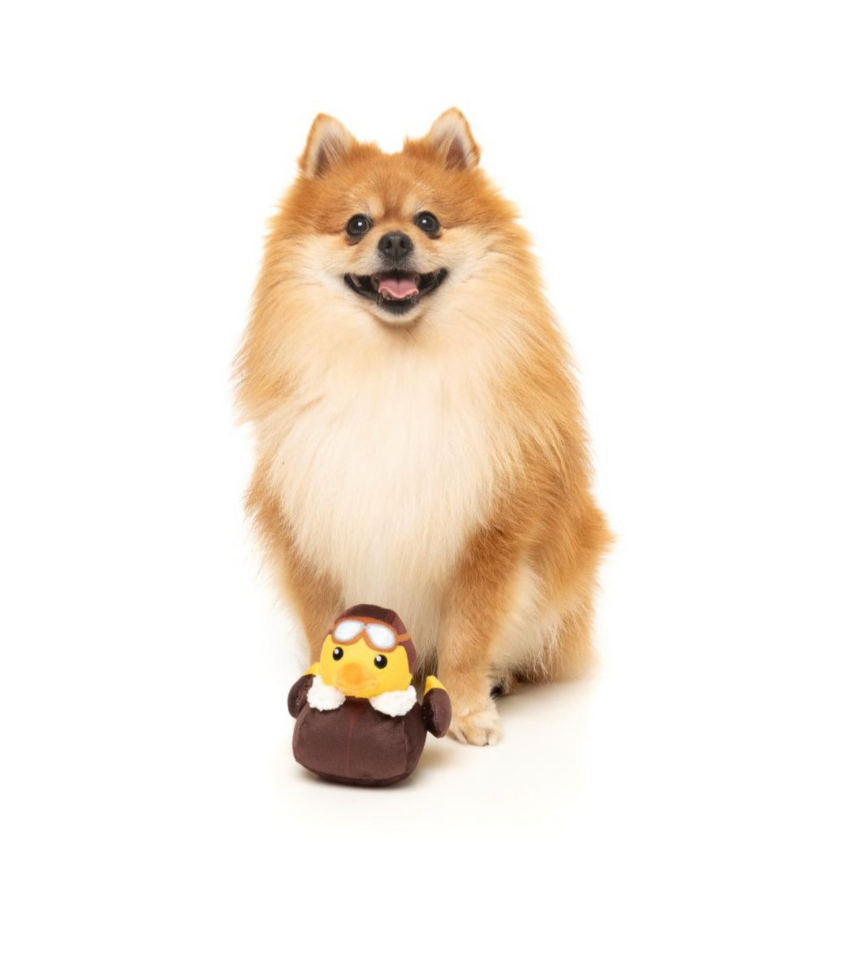 Amelia quackhart