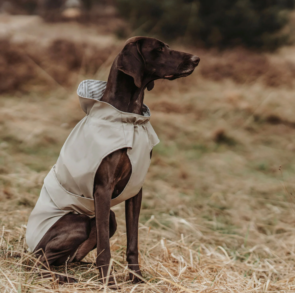 Regenjas Milford Taupe