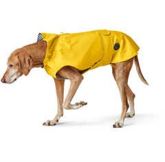 Regenjas Milford geel