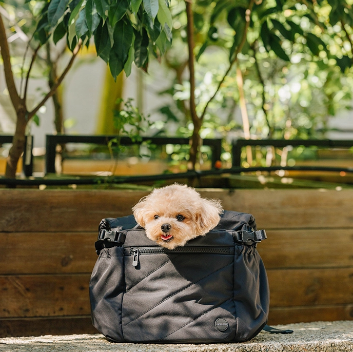 Sac de transport pour animaux Snuggle petite noir S