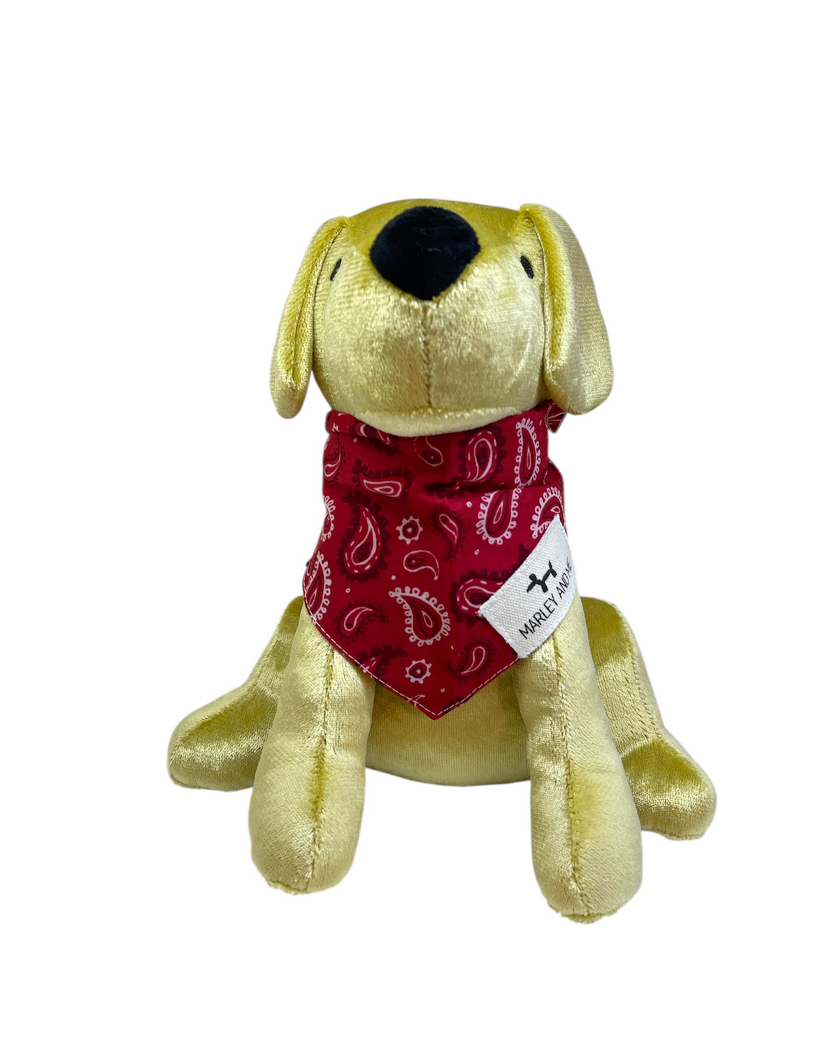 Bandana Paisley rood