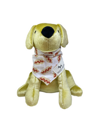 Bandana hotdog
