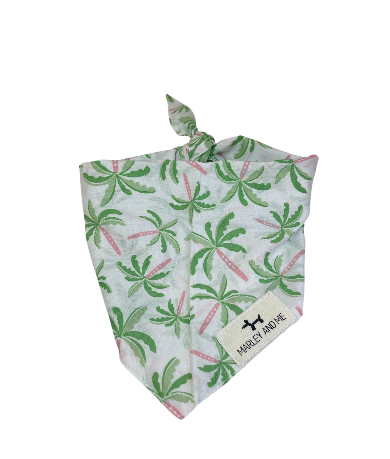 Bandana Palm tree