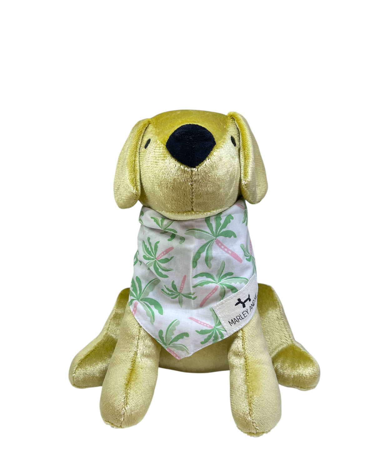 Bandana Palm tree