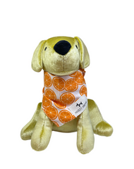 Bandana orange
