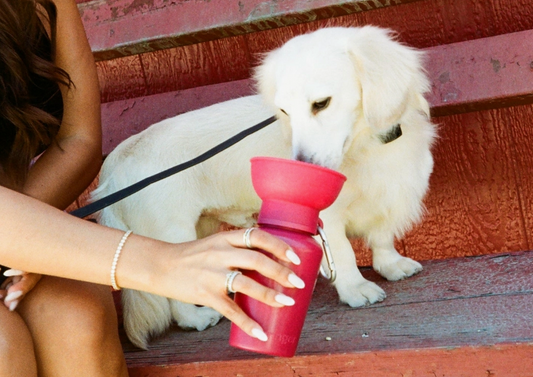 Flip travel bottle groen