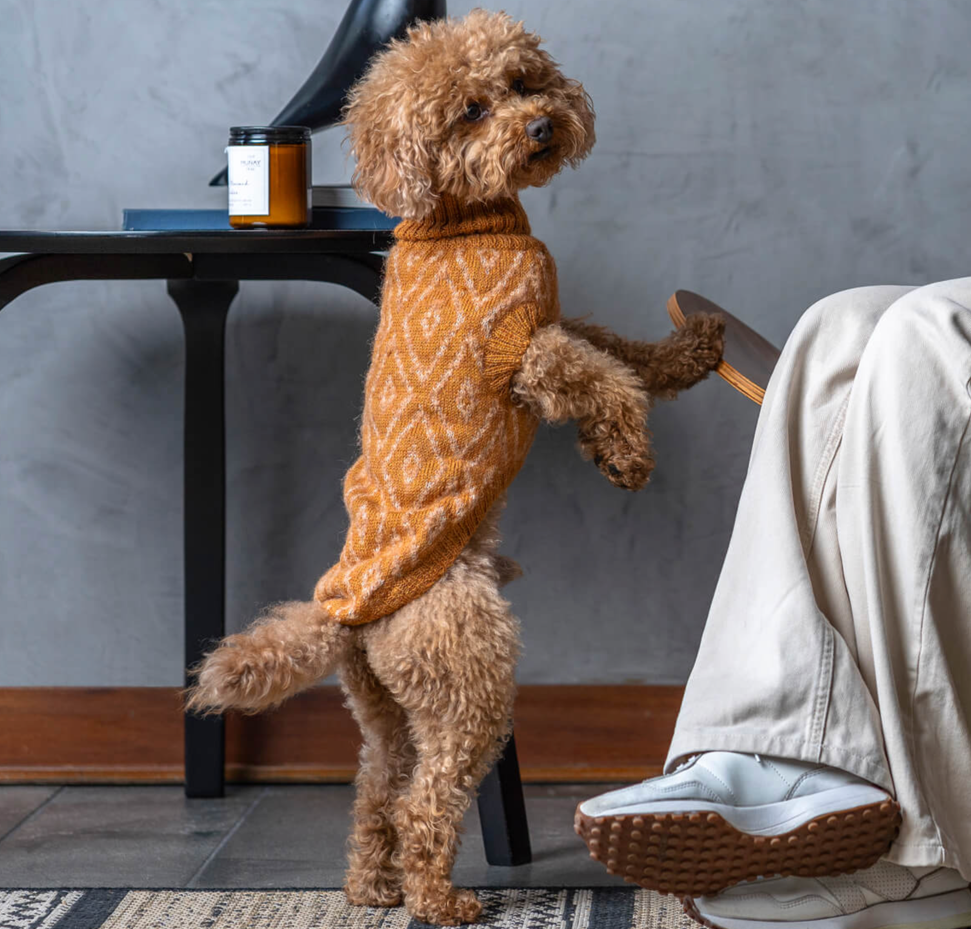 Golden Ochre Alpaca Dog Sweater
