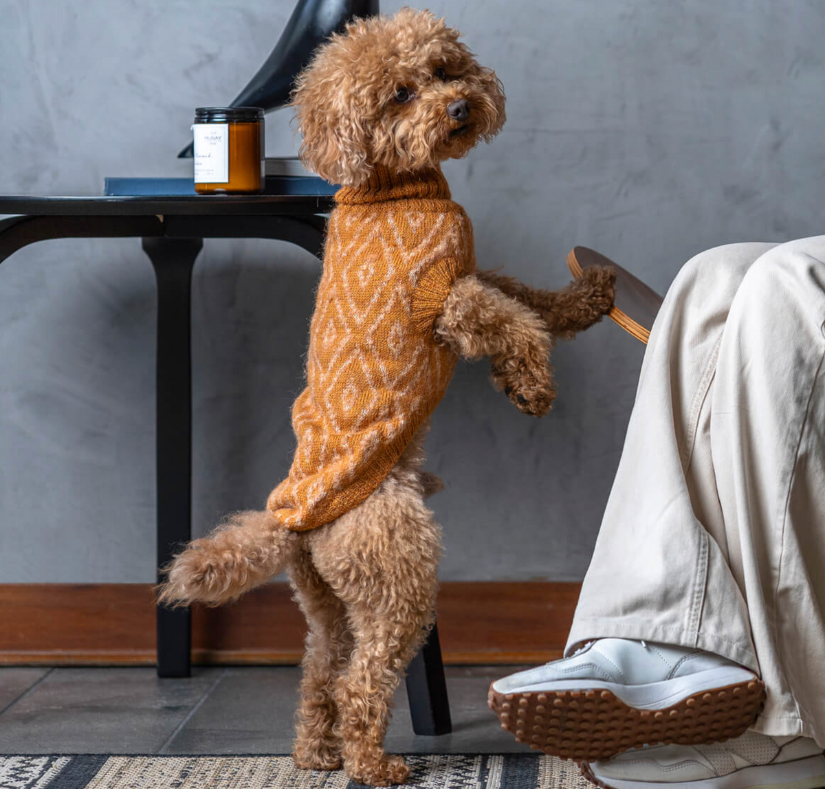 Golden Ocher Alpaca Dog Sweater