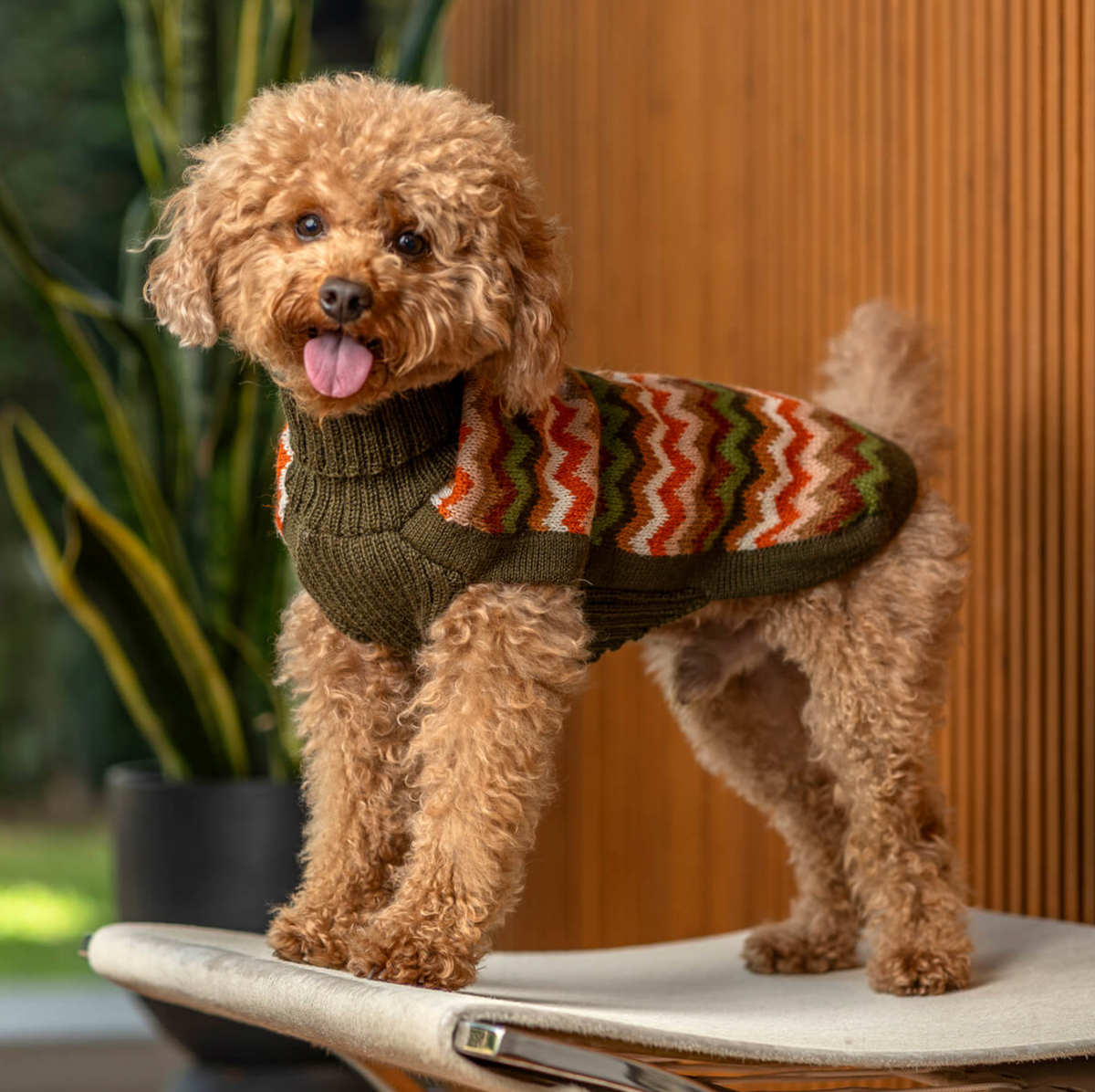 Pull pour chien en alpaga à chevrons forestiers