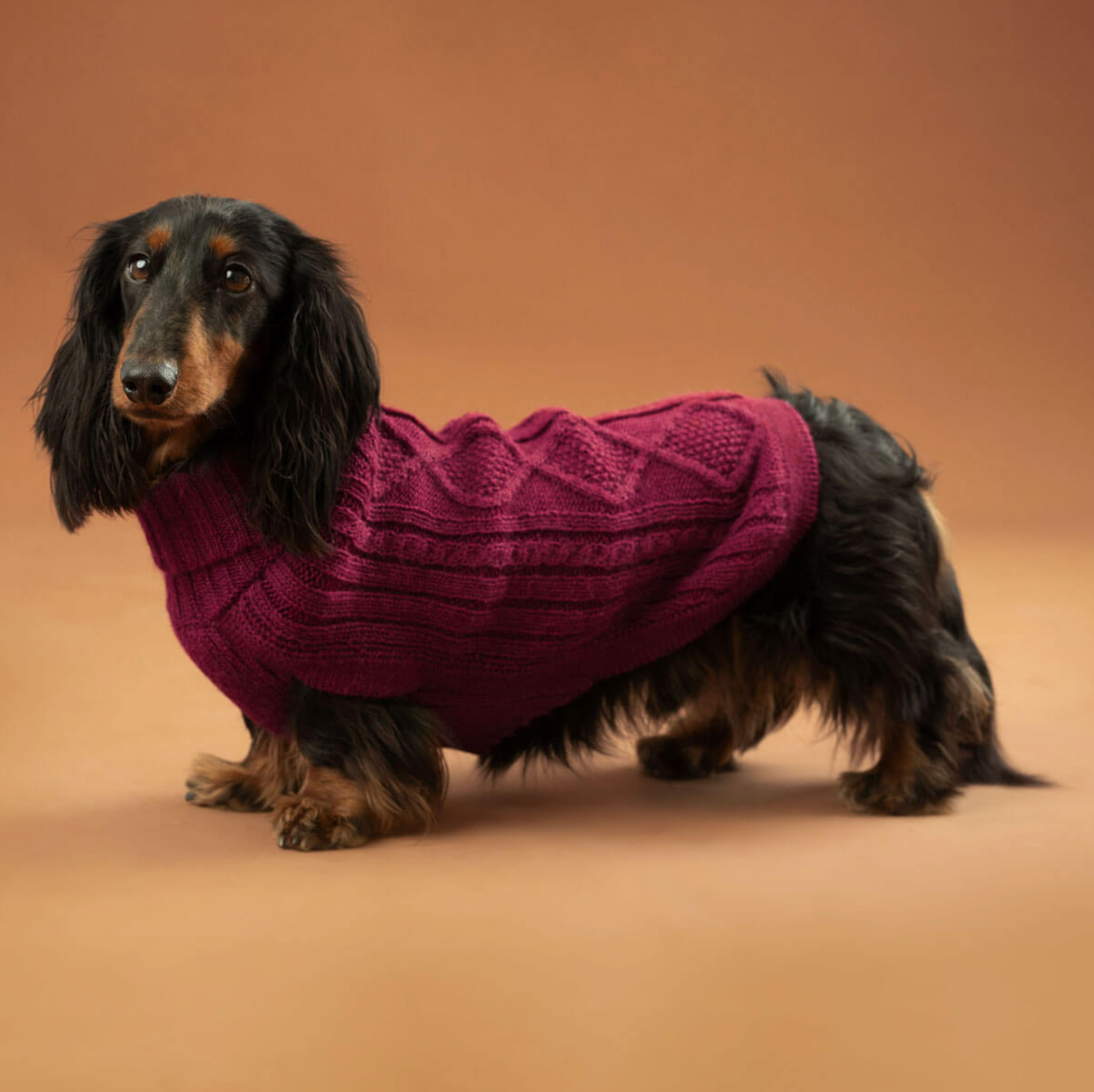 Aran Alpaca dog sweater