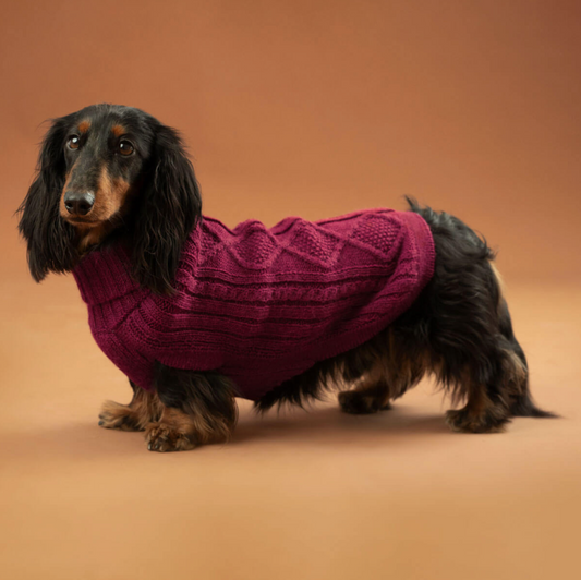 Aran Alpaca dog sweater