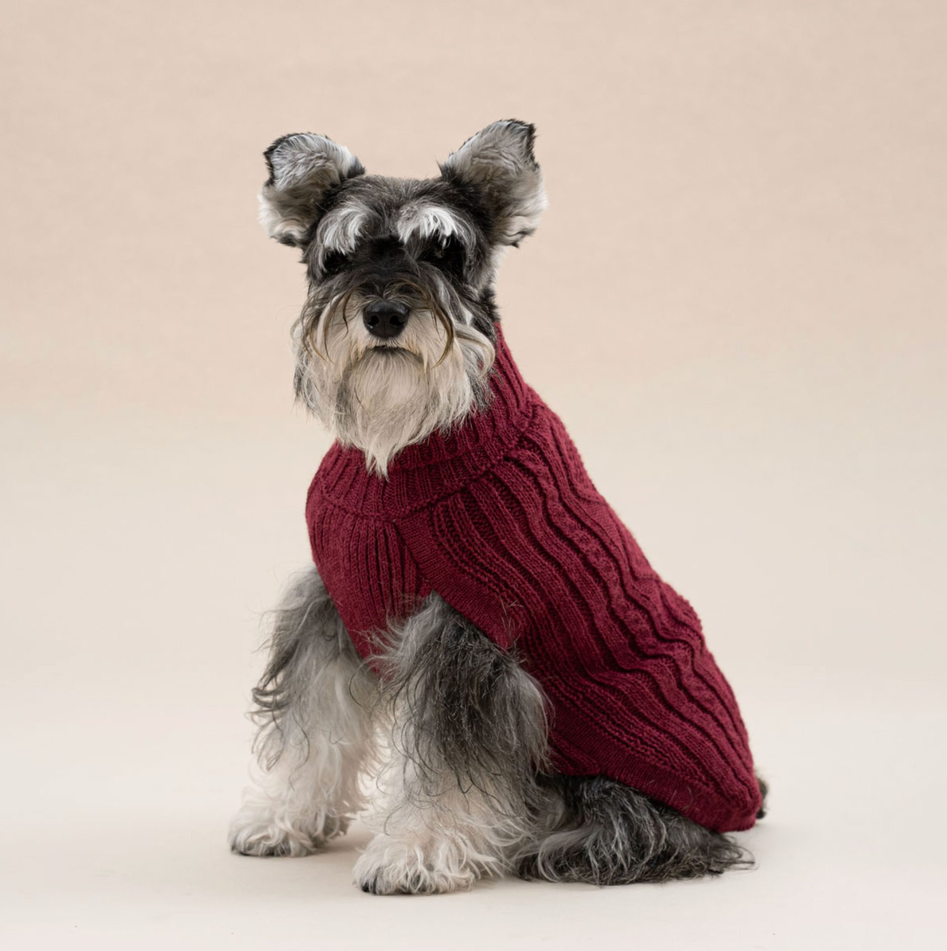Aran Alpaca dog sweater