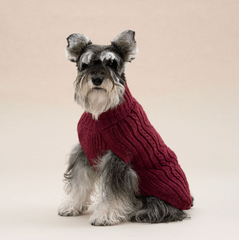 Aran Alpaca dog sweater