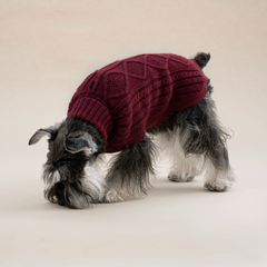 Aran Alpaca dog sweater