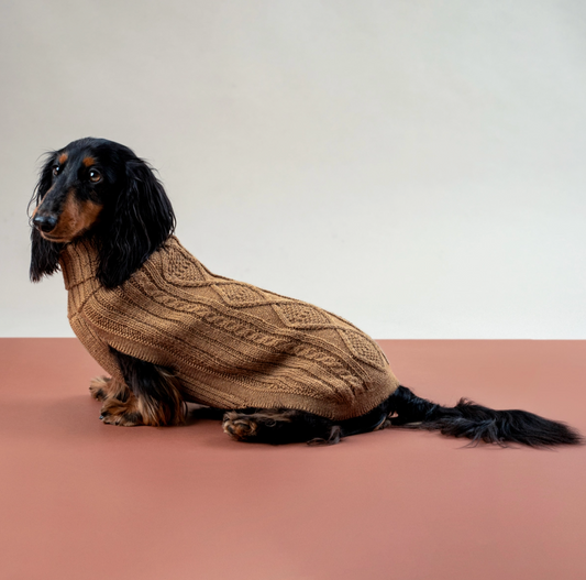 Camel Aran Alpaca dog sweater