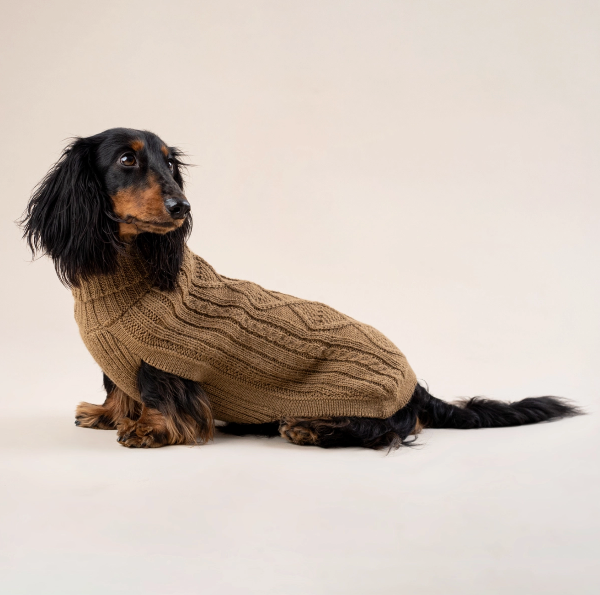 Camel Aran Alpaca dog sweater