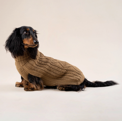 Camel Aran Alpaca dog sweater