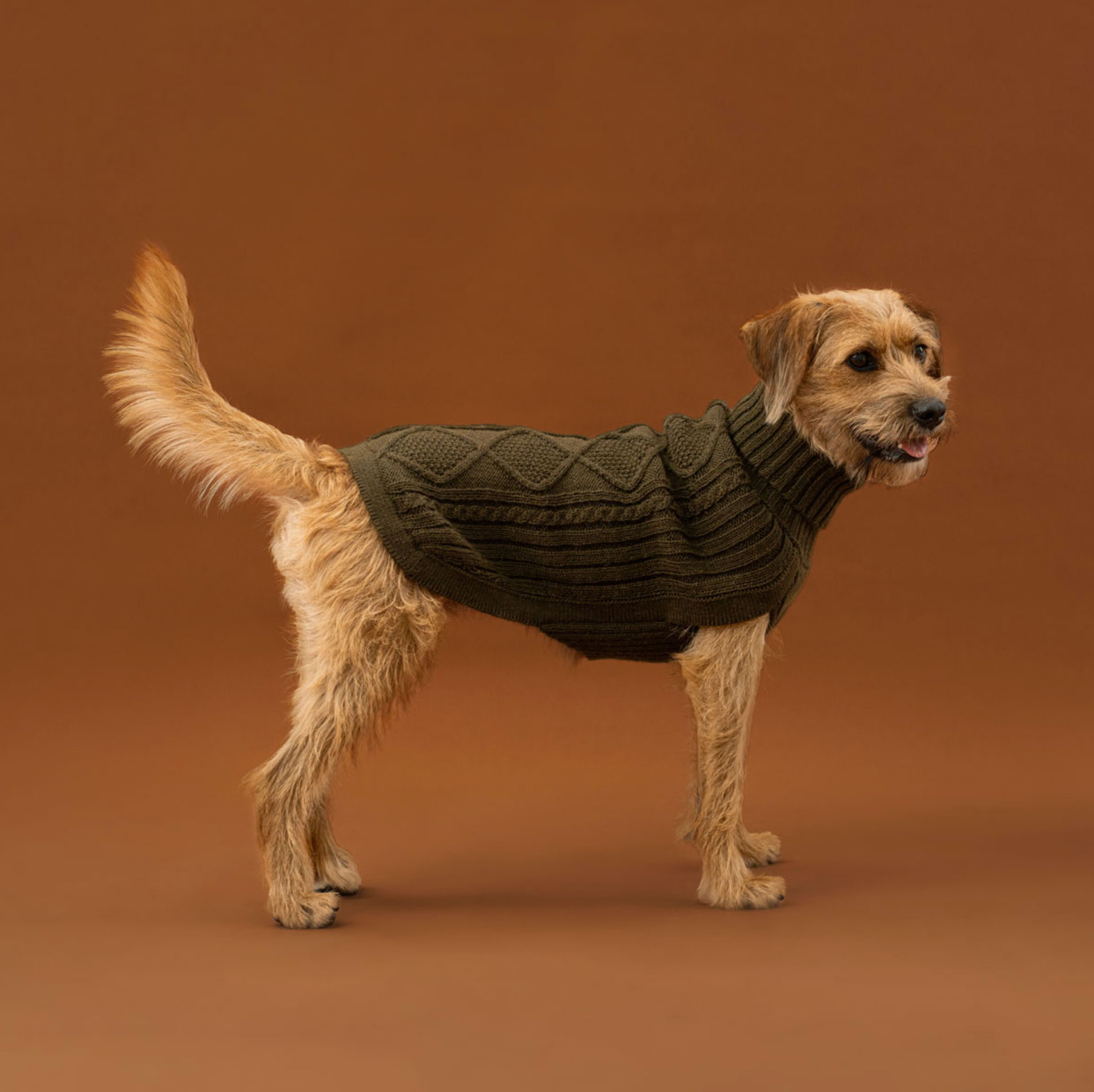 Bosgroen Aran Alpaca dog sweater