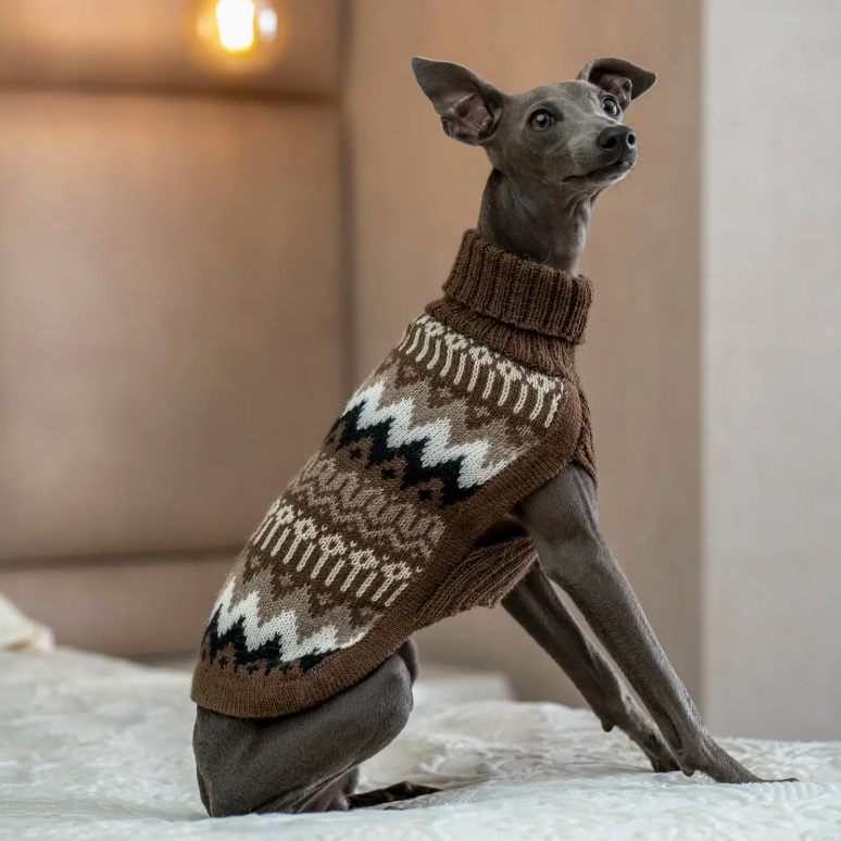 Woolly Peaks Alpaca dog sweater