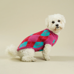 Argyle pink dog sweater