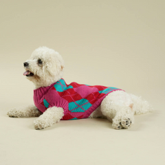 Argyle pink dog sweater