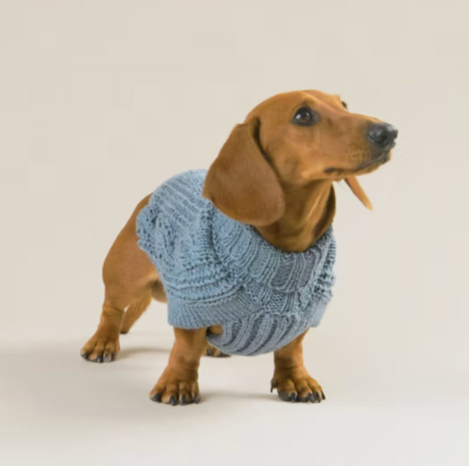 Eco Cable Jean Dog sweater