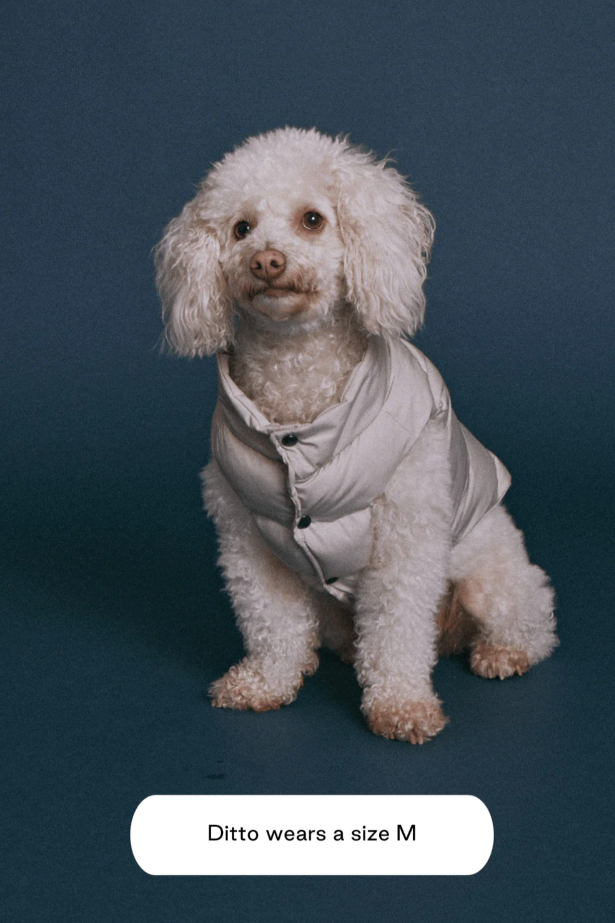 Sub zero waterproof puffer vest