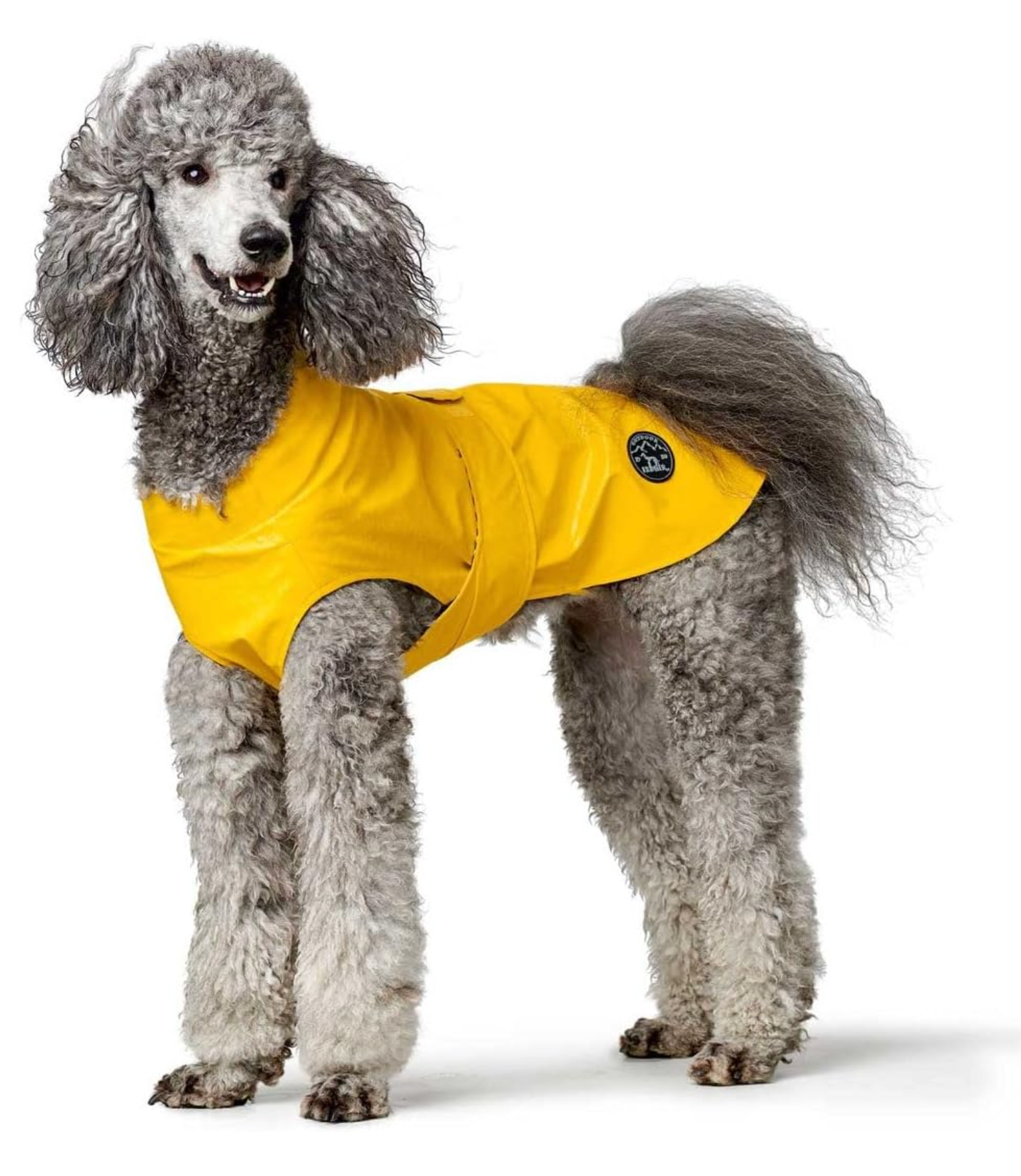 Regenjas Milford geel (geel gestreept)