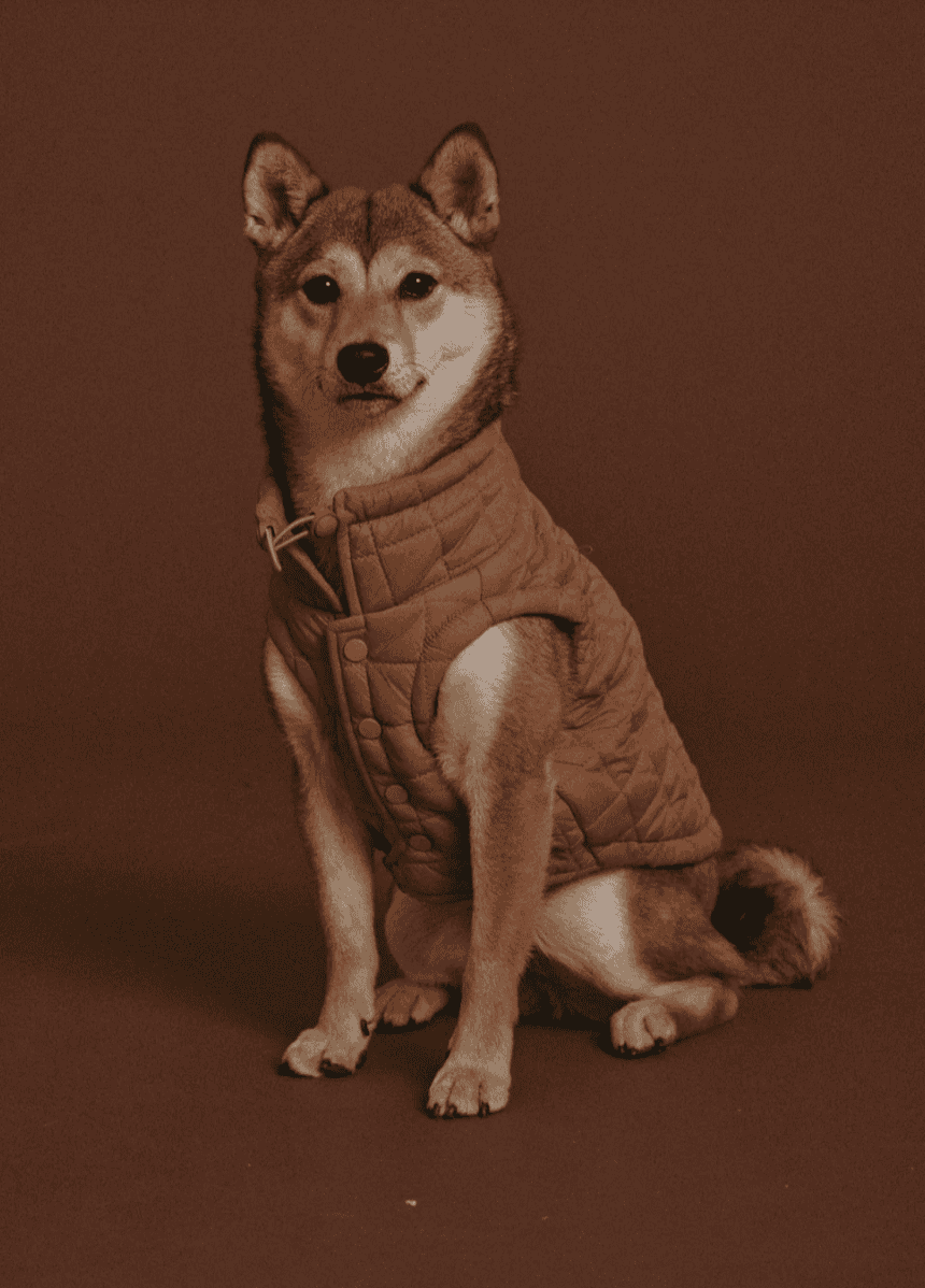 Veste Easy Fit